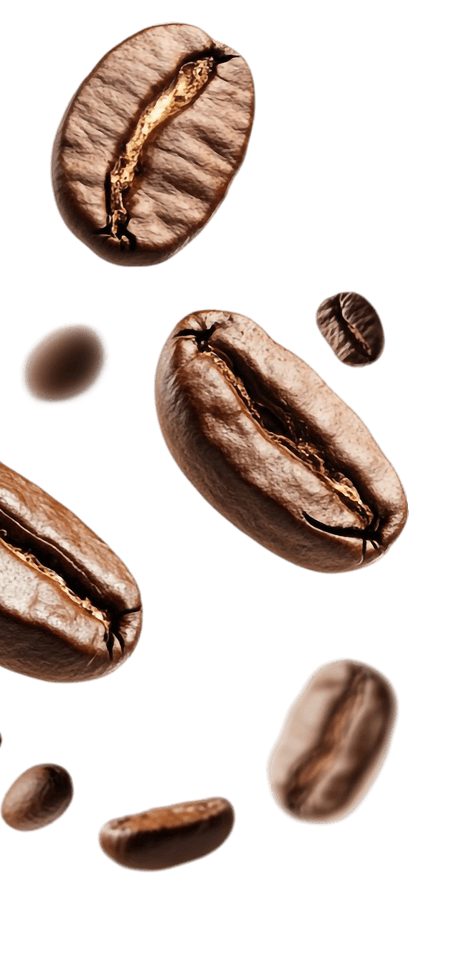 coffee-bean